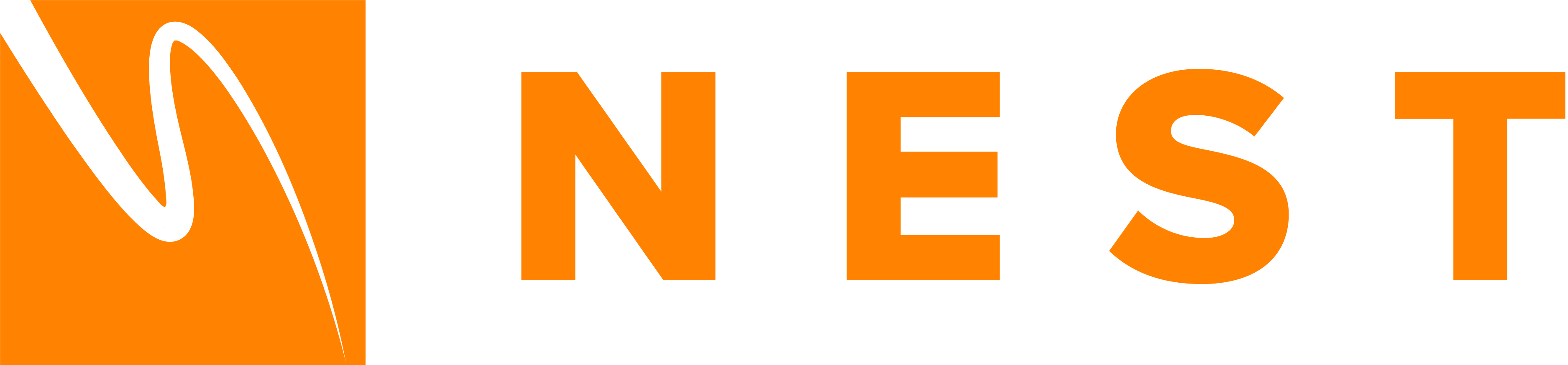 NEST Management Logo